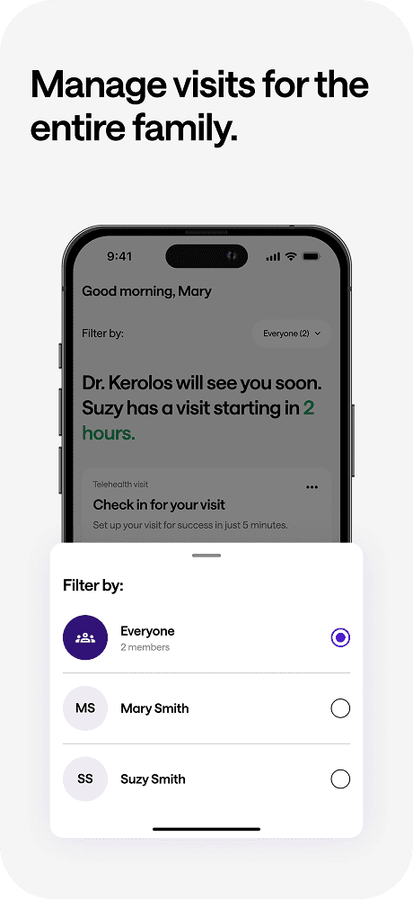 Application screenshot